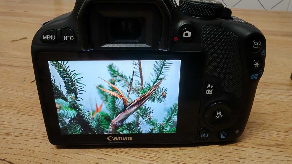 Camara fotografica DSLR Canon 100D Imaculada