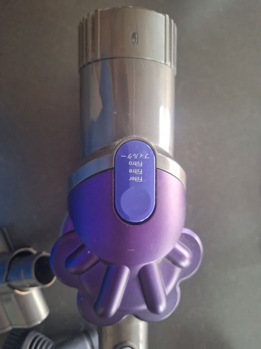 Aspirador portatil Dyson DC31 Animal