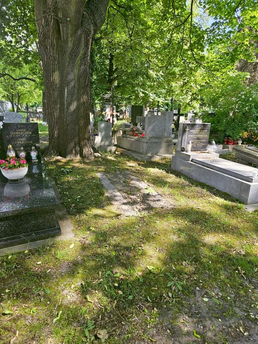 Rakowice miejsce na cmentarzu - Widok 2
