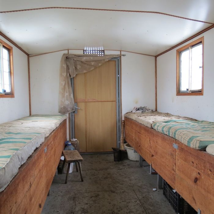 Павільйон пасіка з бджолою (14 сімей)