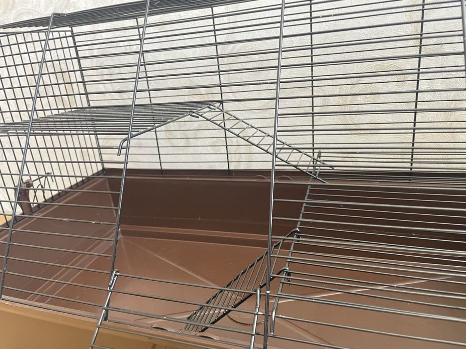 Продам клітки для щура / хом’яка + аксесуари