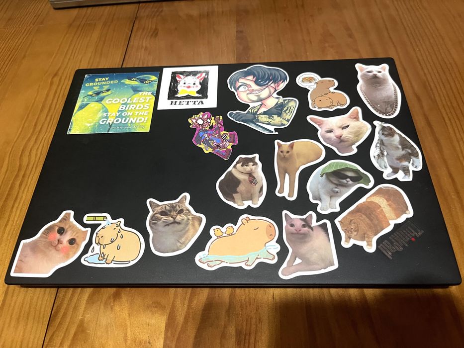 Thinkpad T480 - 16GB RAM / 480GB SSD / i7-8550U