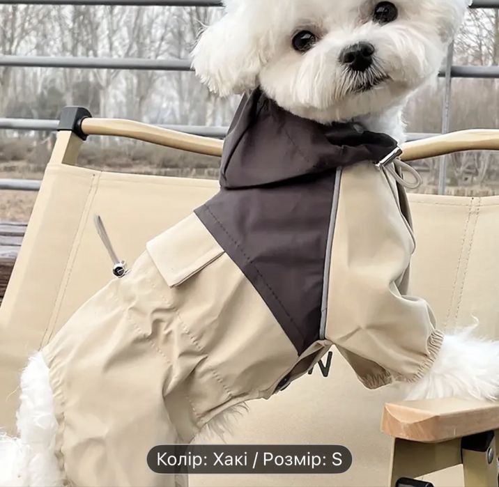 Дощовик для собаки