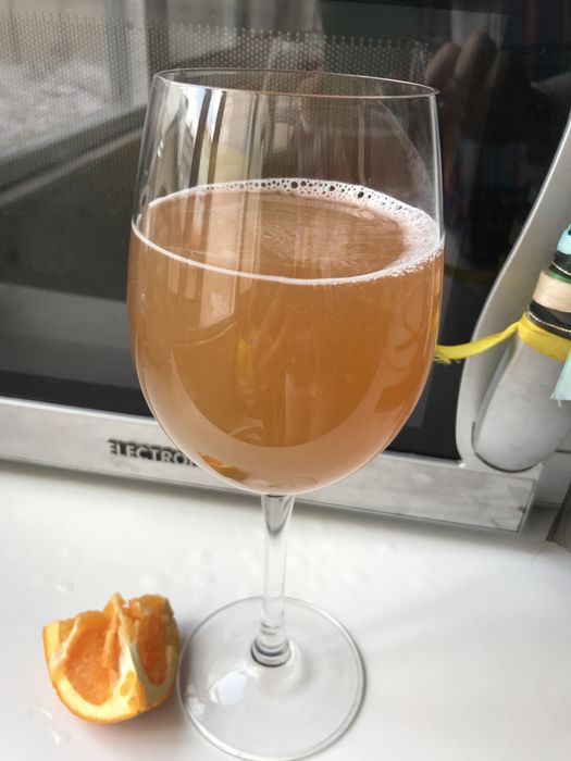 Scoby e starter para kombucha e Kombucha caseira já pronta