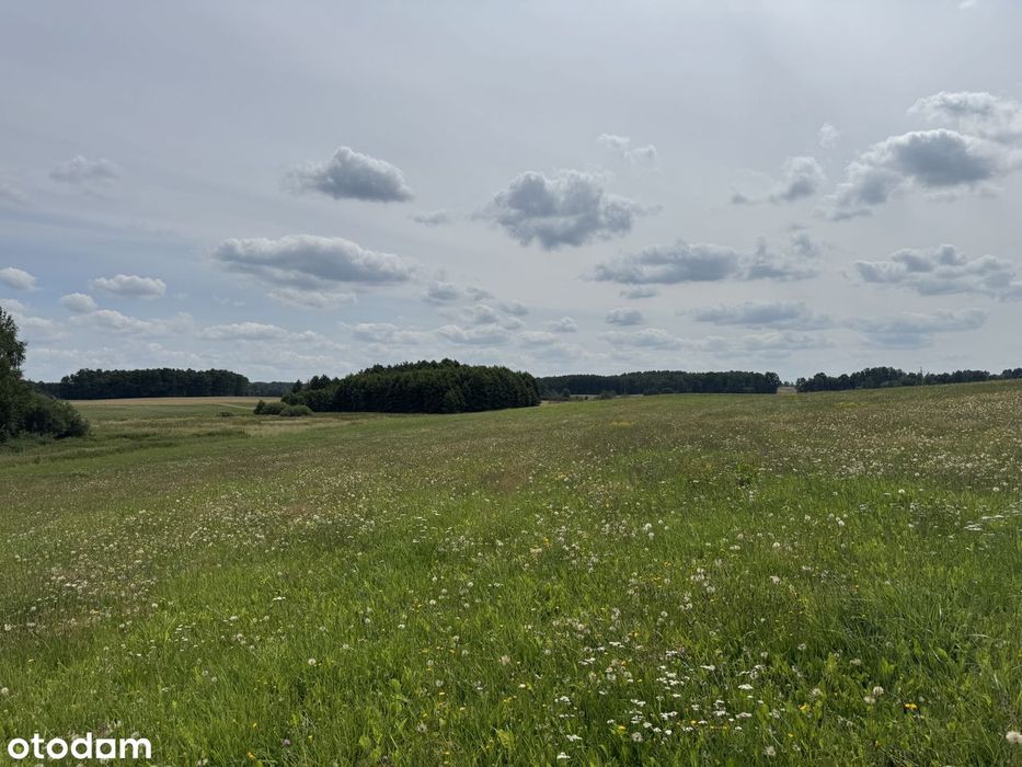 Działka budowlana 3247 m² | Prawomocne WZ | 200 m od Jeziora Dauby