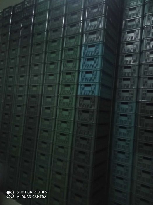 Skrzynki, Paczki, Pojemniki plastikowe 15 kg Nowe