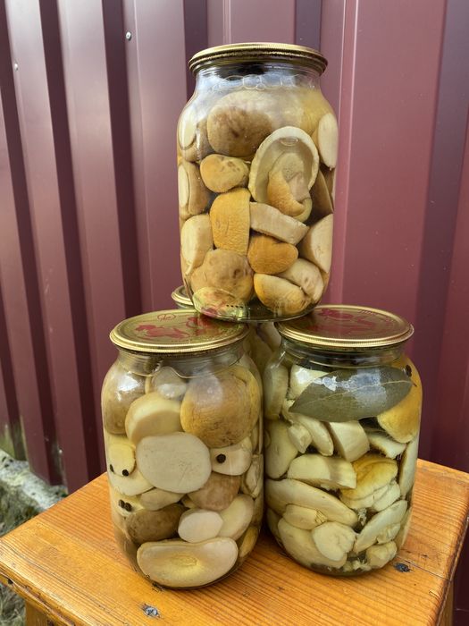 Білі грибочкі смачні