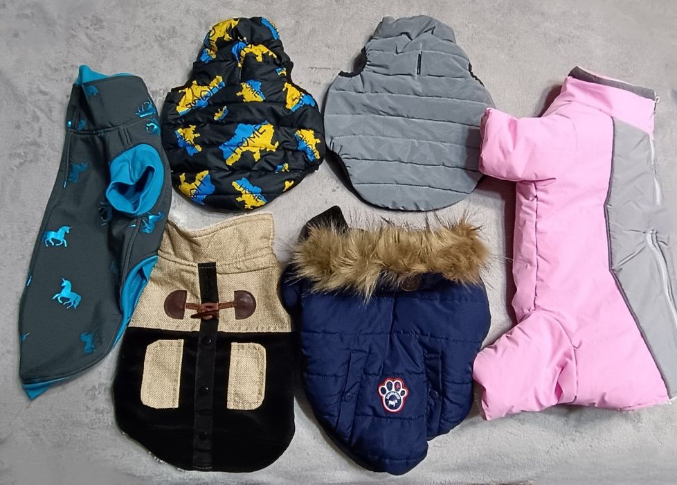 Одежда для собак, одяг для собак