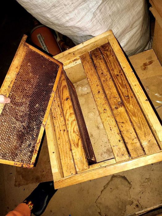 Продам: пасіку, вулики, бджоли, медогонку, інвентар до бджіл(комплект)