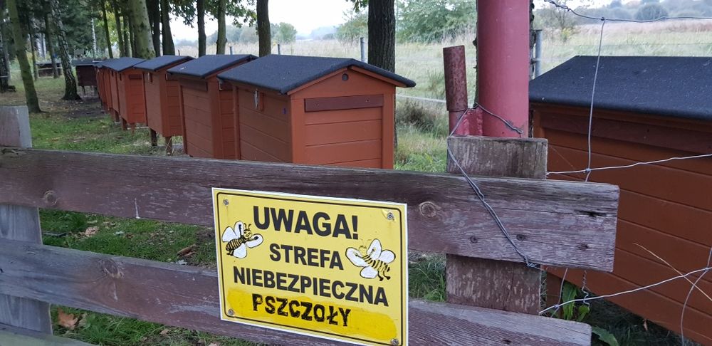 Naturalny wosk pszczeli