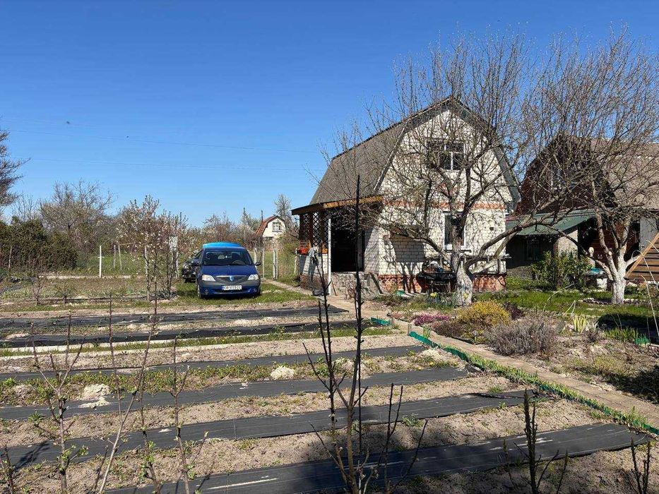 Продаж Дача Ділянка Березанка СТ Лаванда