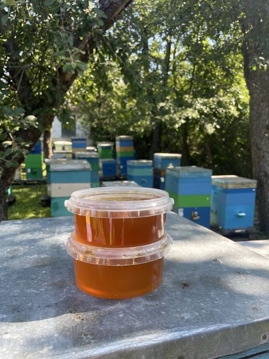 Продам мед гречка+різнотравʼя,лісове різнотравʼя,соняшник.
