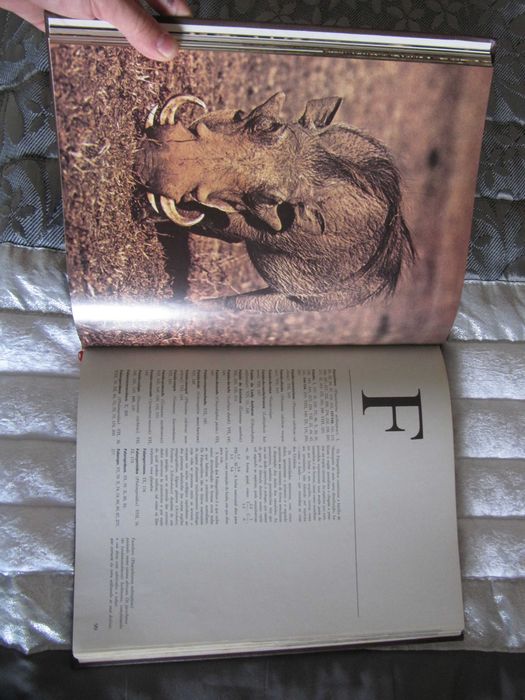 Enciclopédia- Fauna e Animais Selvagens-Alfa -Coleção COMPLETA 16 vols