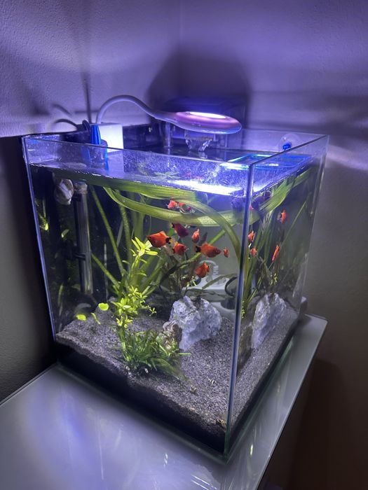 Cubo 30x30x35 cm completo