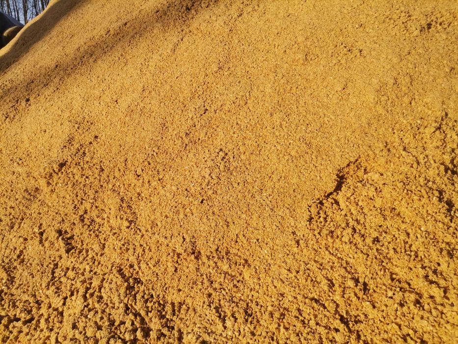 Ddgs kukurydziany big-bag wkład foliowy, mokry kiszony pasza Białkowa