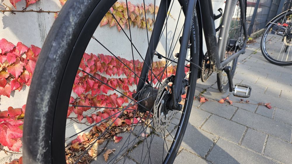 Serious Intention Street 58cm rower miejski 2021