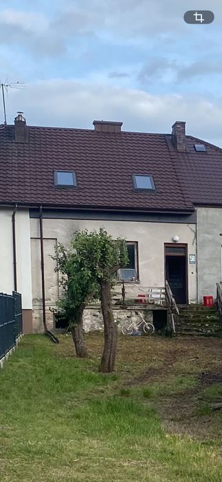 Zdjęcie 3