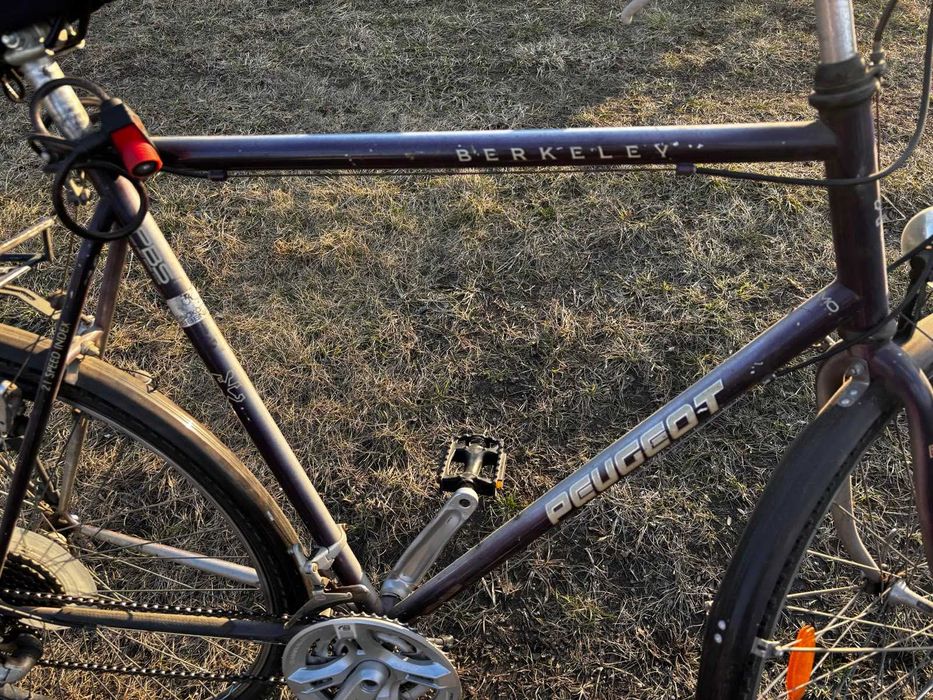 Rower Peugeot model Berkeley