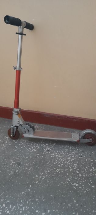 Hulajnoga zwykła