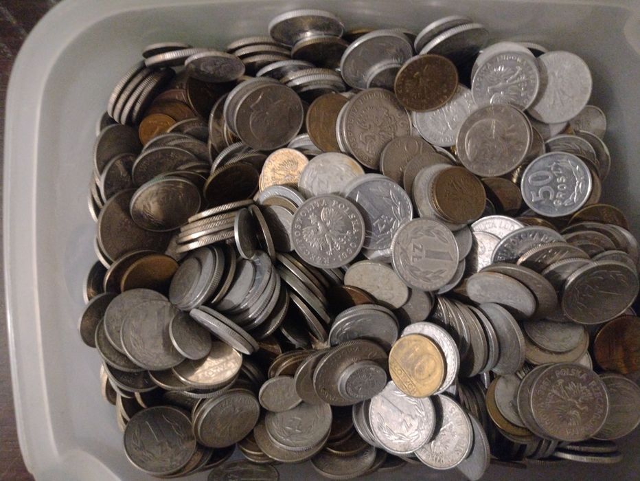 5 kg monet z prlu