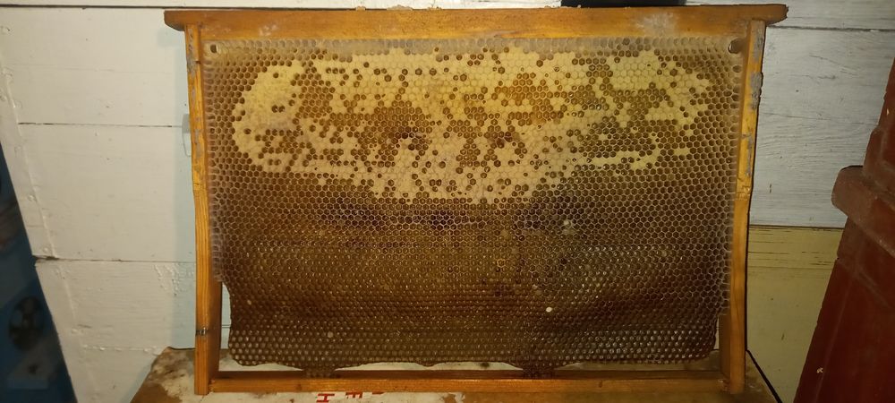 Продам медові рамки на 300мм.