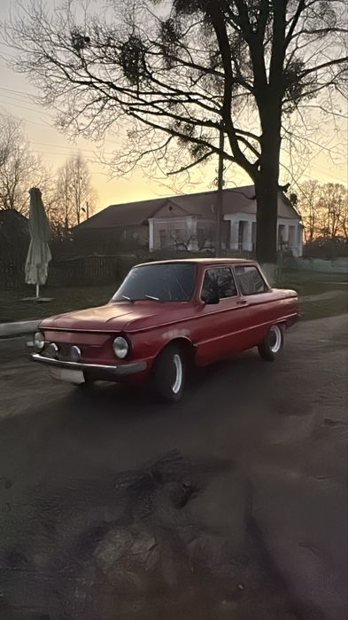 Продам зазіка легенду