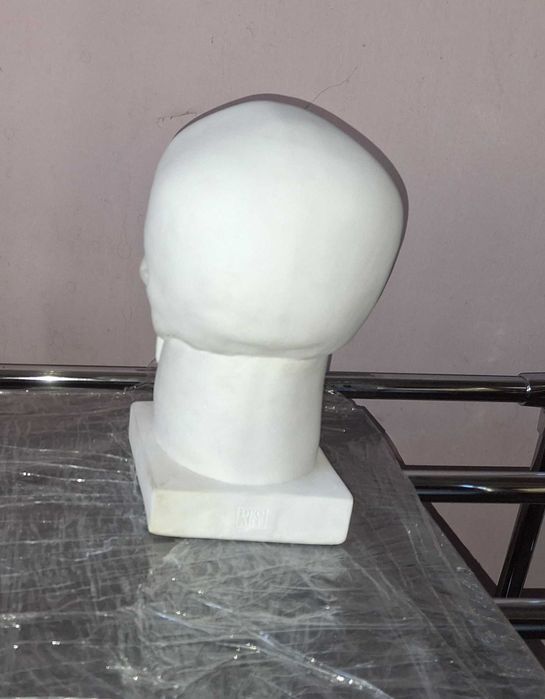 модель гіпсового черепу на підставці