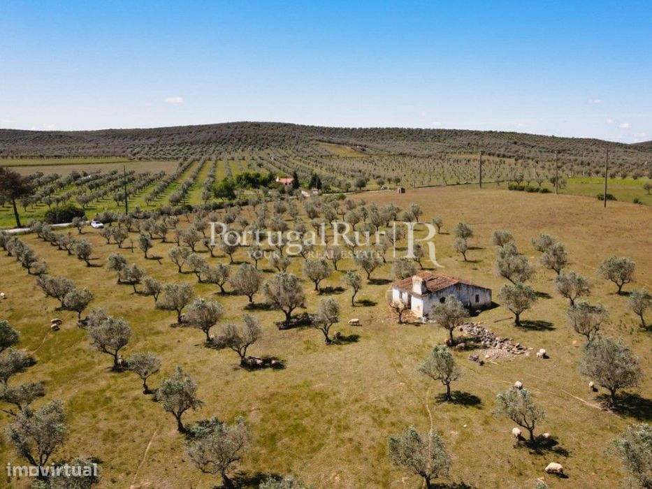 Quinta com monte para recuperar em Sousel