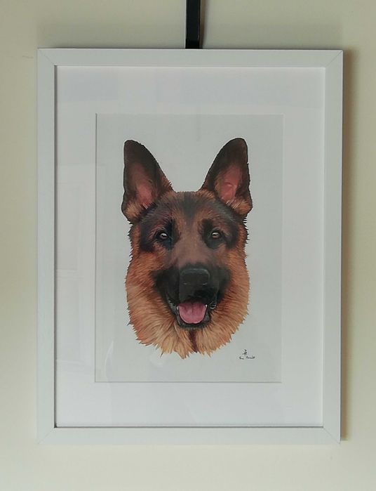 Quadros / Pinturas a óleo