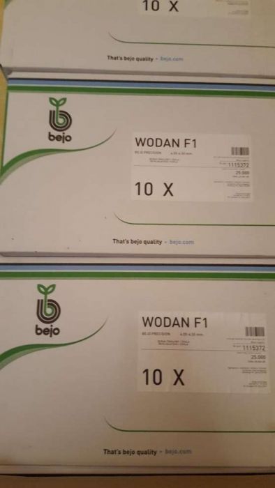 Nasiona Burak Wodan 50 tys !