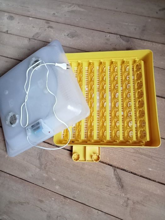 Inkubator do wylęgu jaj