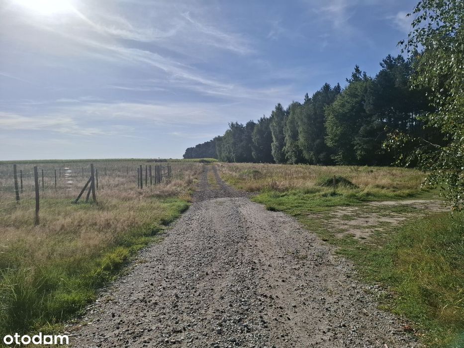 Trzykolne Młyny, 1 i 2 linia linia zabudowy od lasu, MPZP, - Widok 3