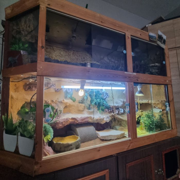 Terarium dla gadów