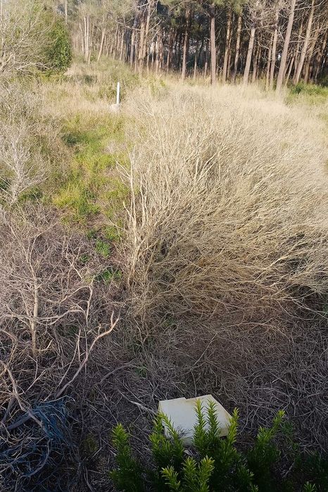 10 min da Praia do Salgado - Famalicão / Nazaré (Agricola) 7293m2