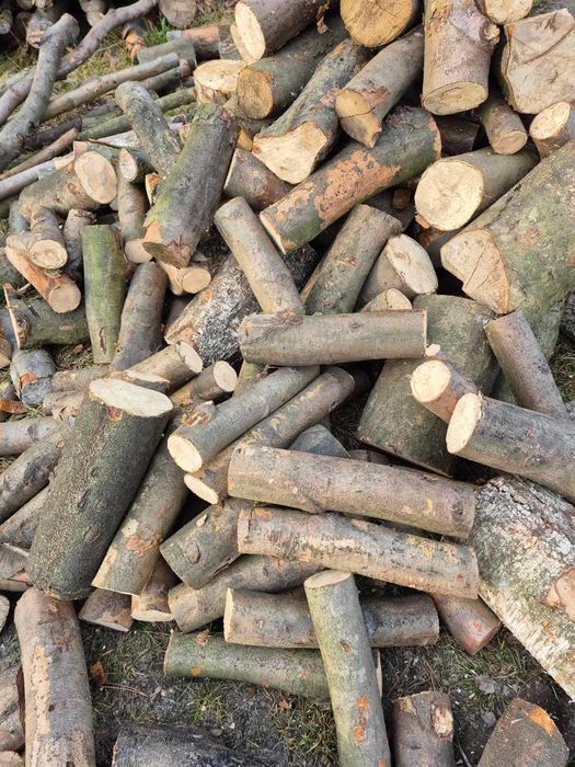 Drewno opałowe-sosna,świerk,buk