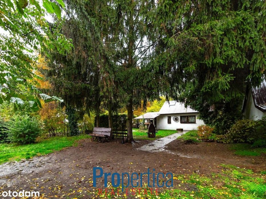 * Domek w otulinie zieleni z dobrą komunikacją *