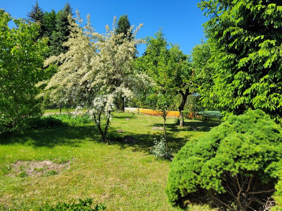 Działka ROD do kupienia