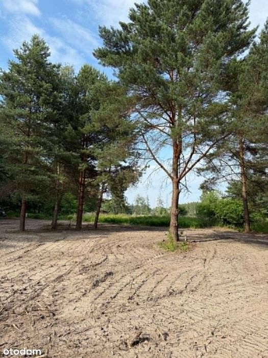 Działki budowlane 1500 m² przy lesie | Szczęsne | 1,2 km do WKD - Widok 6