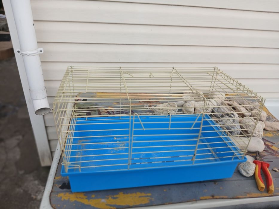 Клітка для хом'ячків