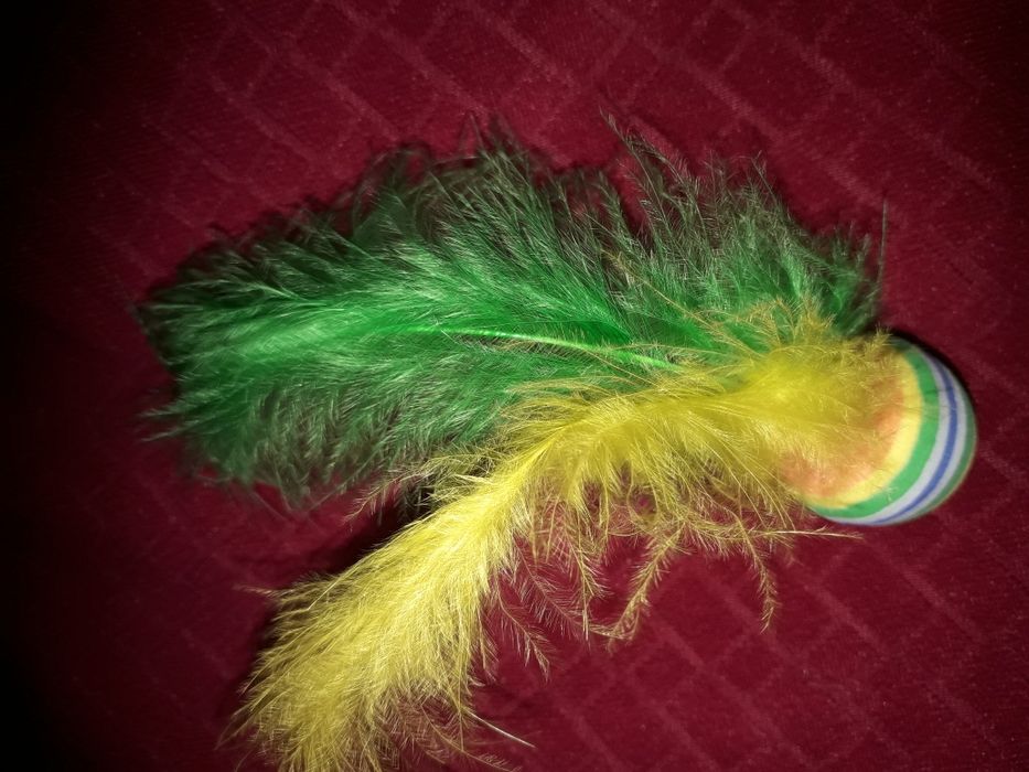 Волан перо игрушка из перьев