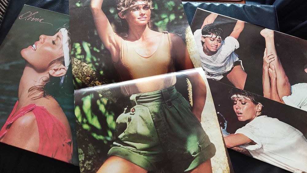 Olivia Newton-John | Physical (LP vinil, 1981)