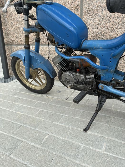 Vendo casal fundadora 2 k-168