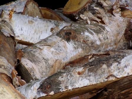 Drewno kominkowe - brzoza