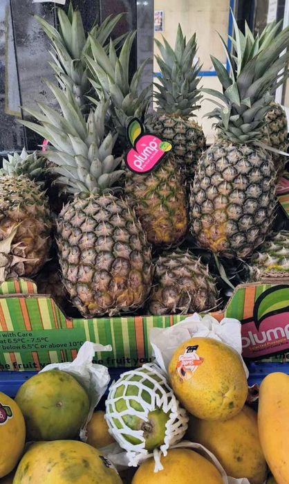 Caixa de ananas villa lobos para entregas ao domicilio