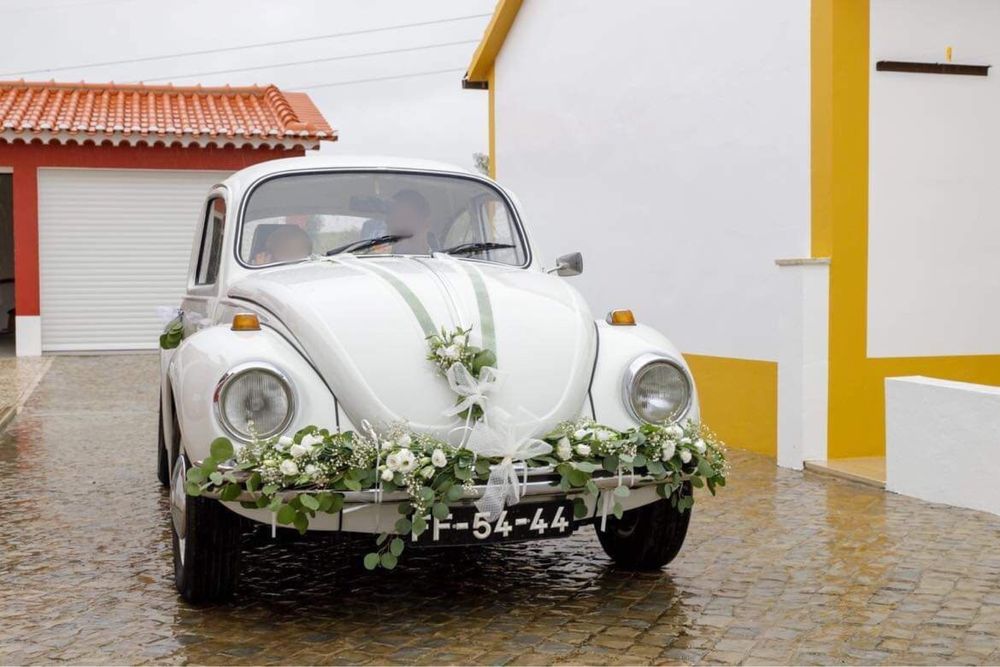 Alugo carocha p/ eventos