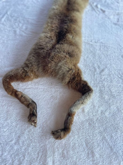 Kołnierz z całego lisa a La prl