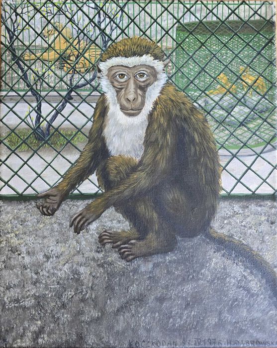 Halina Dąbrowska "Koczkodan" 1976 50x40 obraz olejny