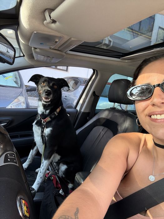 Pet-sitting & estadia familiar