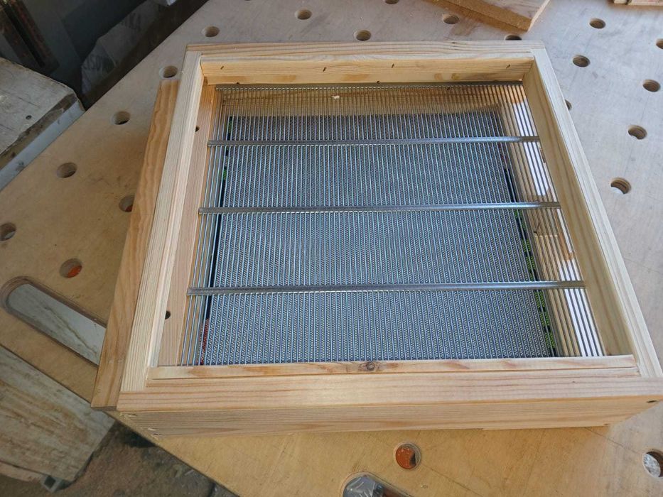 Dennica wielkopolska do poławiania pyłku