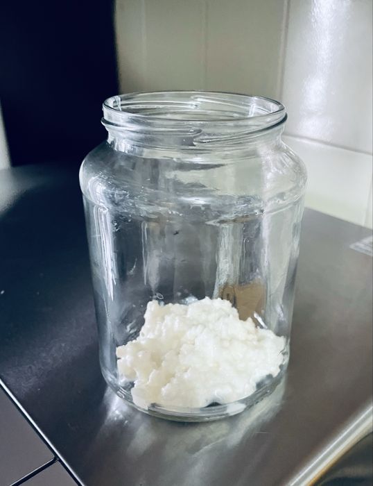 Kefir de leite caseiro – natural e fresco